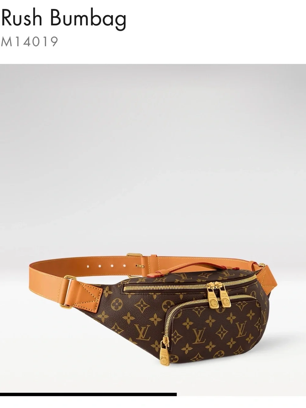 Louis Vuitton Monogram Canvas Belt Bag with Tan Trim